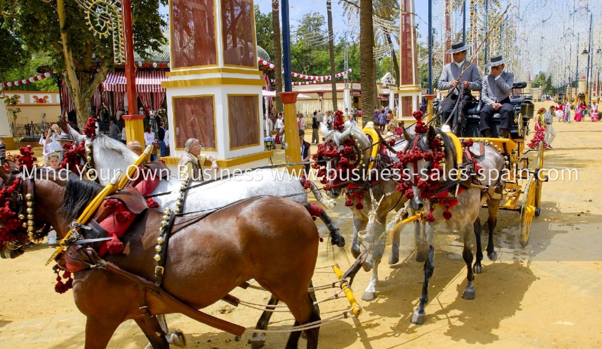 Carruaje-Feria-Caballo-Jerez