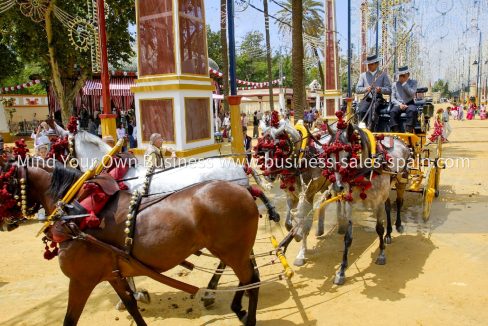 Carruaje-Feria-Caballo-Jerez
