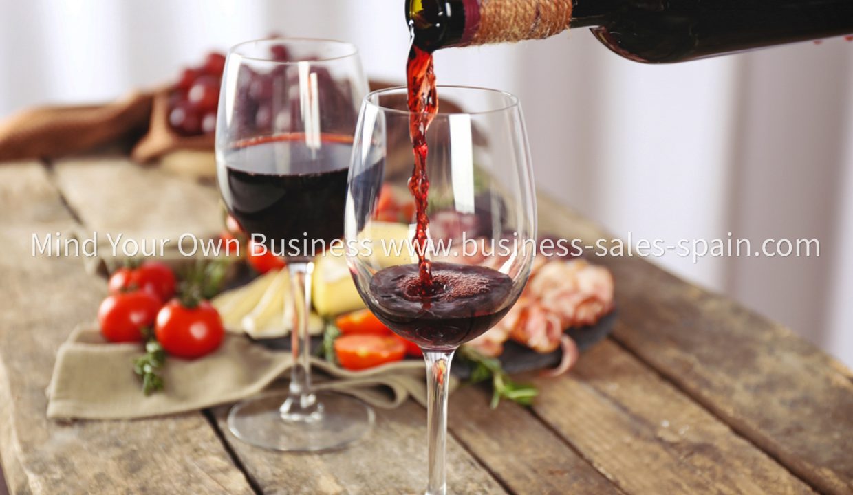 Red-wine-and-tapas-andalucia-spain