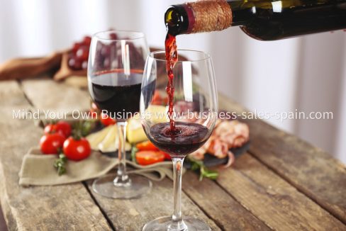 Red-wine-and-tapas-andalucia-spain