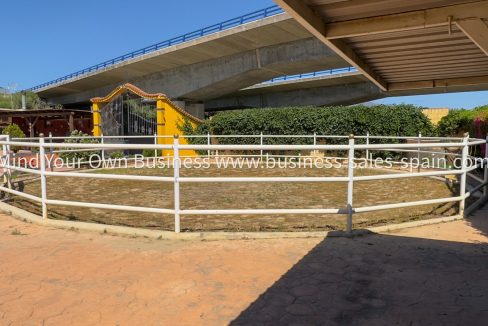 IMG_8412