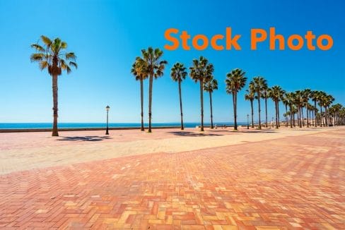 5. vecteezy_beach-background-sunny-beach-promenade-with-palm-trees-ocean_66583015