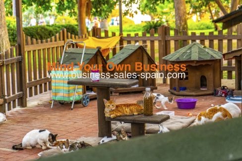 3. Cats vecteezy_wooden-cat-house-in-the-garden_11215926 copy